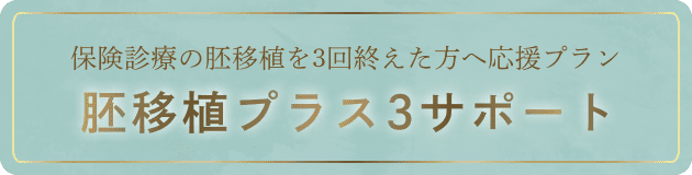 胚移植プラス3サポート